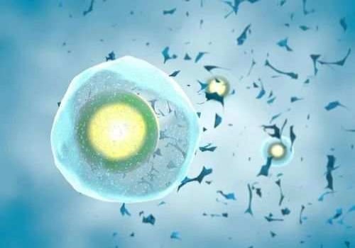 成都助孕机构：秋季宝宝皮肤太脆弱太干燥怎么办-别急，一招教你保湿