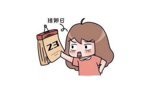 促排药和促排针应该怎么选，三分钟告诉你区别在哪里