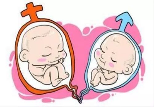 成都助孕机构：2022胎儿在子宫发育缓慢是什么导致的，该怎么办-